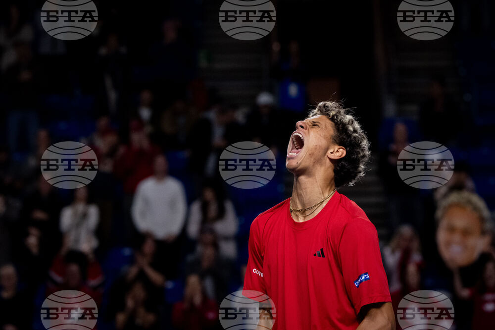 Davis Cup Canada Brazil Tennis