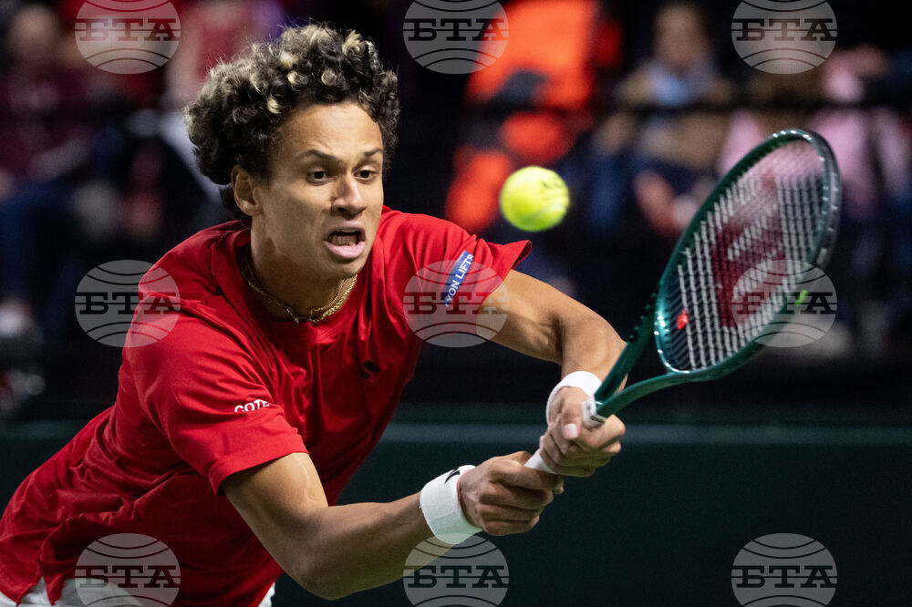 Davis Cup Canada Brazil Tennis