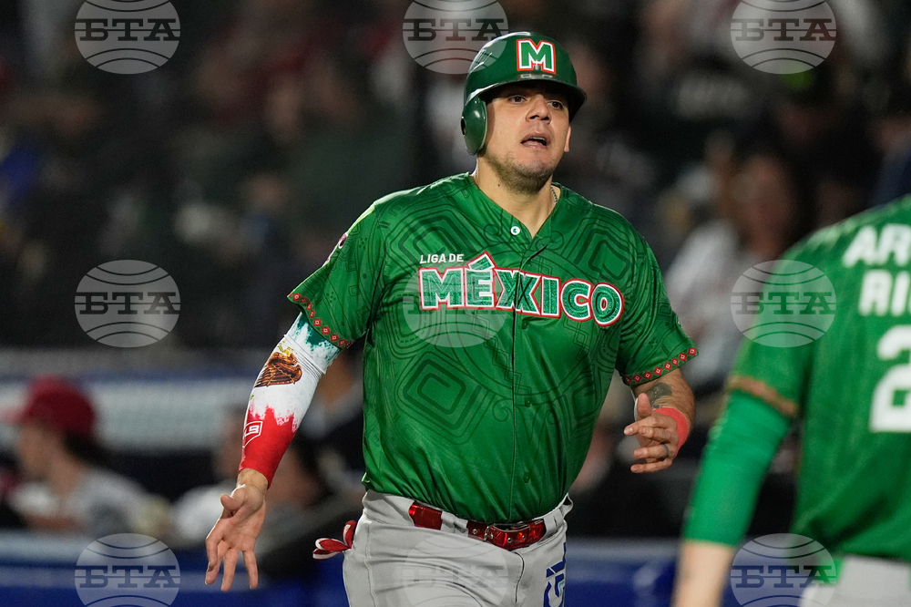 Mexico Baseball