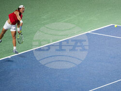 Davis Cup Canada Brazil Tennis