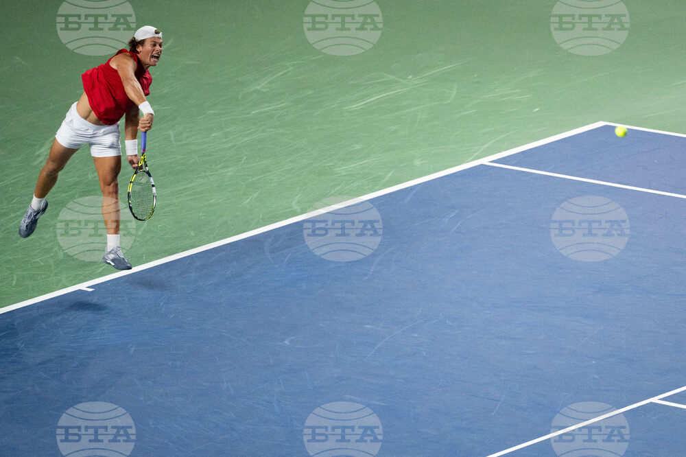 Davis Cup Canada Brazil Tennis