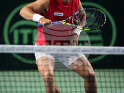 Davis Cup Canada Brazil Tennis