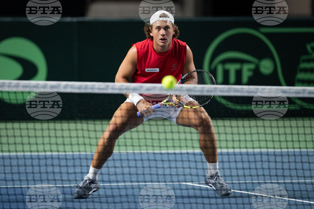 Davis Cup Canada Brazil Tennis