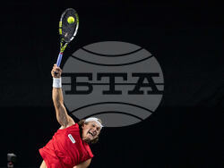 Davis Cup Canada Brazil Tennis