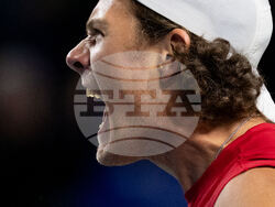 Davis Cup Canada Brazil Tennis