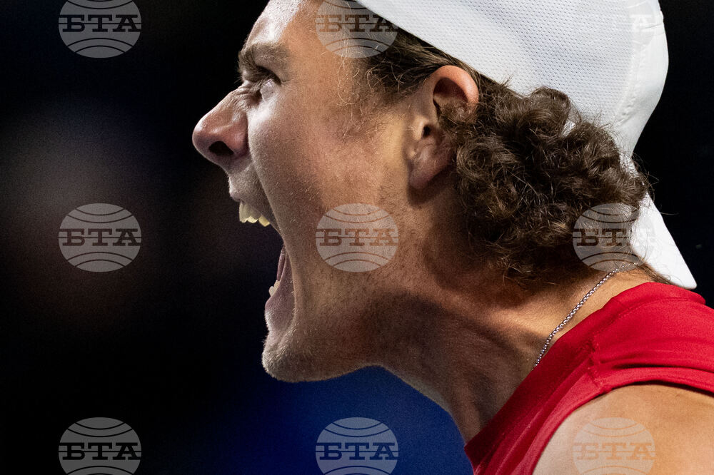 Davis Cup Canada Brazil Tennis