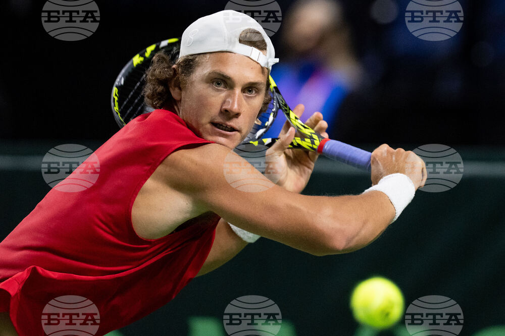 Davis Cup Canada Brazil Tennis