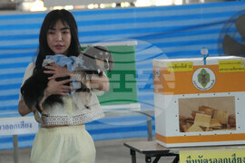 Thailand Election