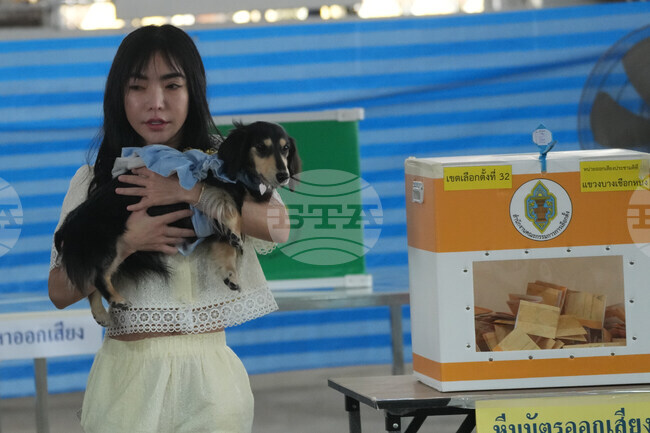 Тайландският Конституционен съд прие иск, оспорващ законността на избирателните бюлетини, съобщават местни медии