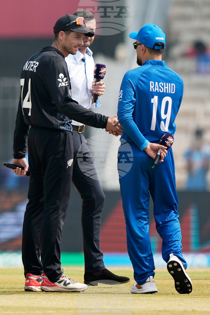 Afghanistan New Zealand T20 WCup Cricket