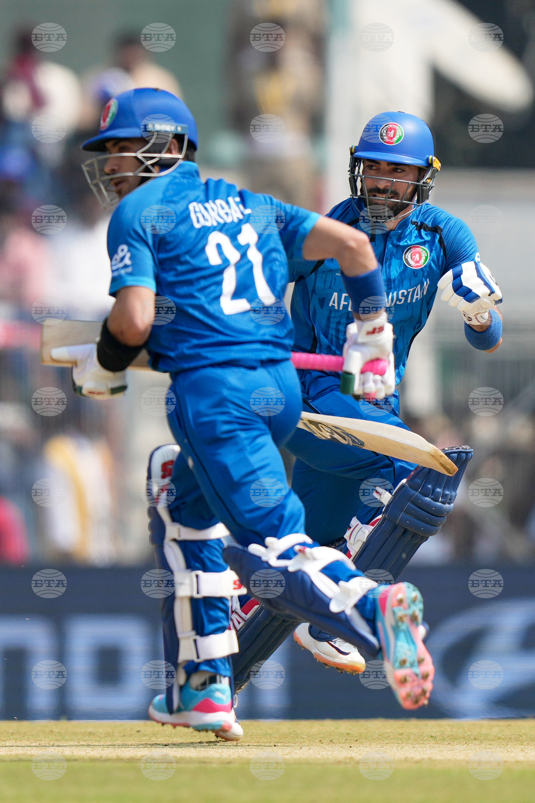 Afghanistan New Zealand T20 WCup Cricket