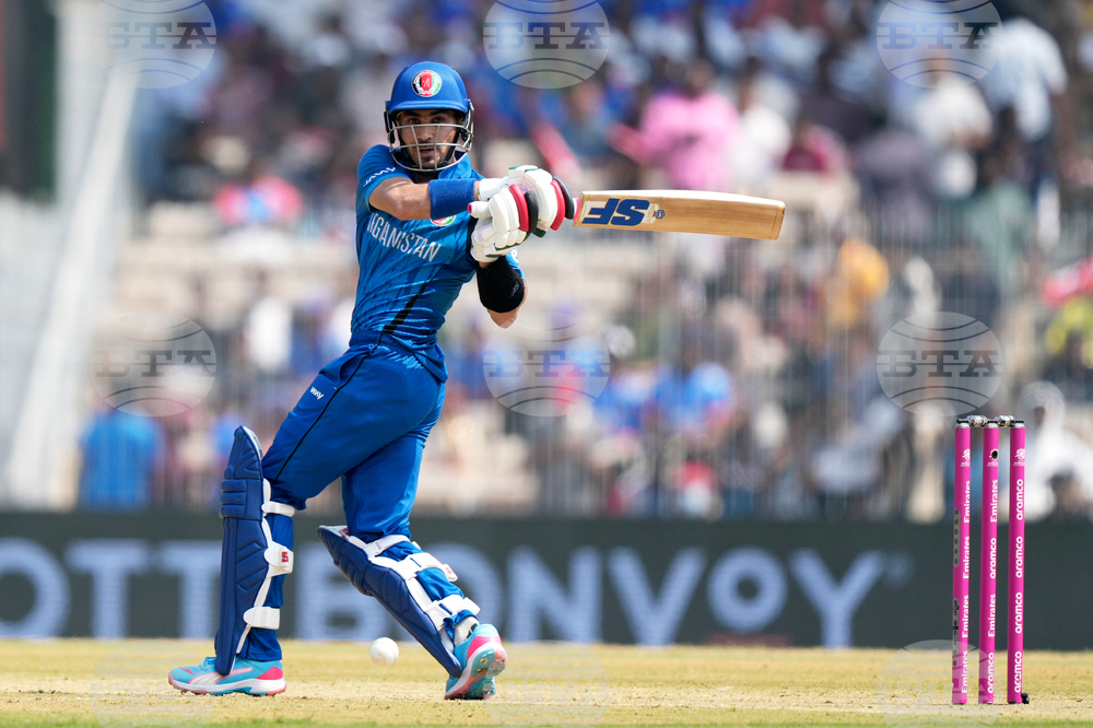 Afghanistan New Zealand T20 WCup Cricket