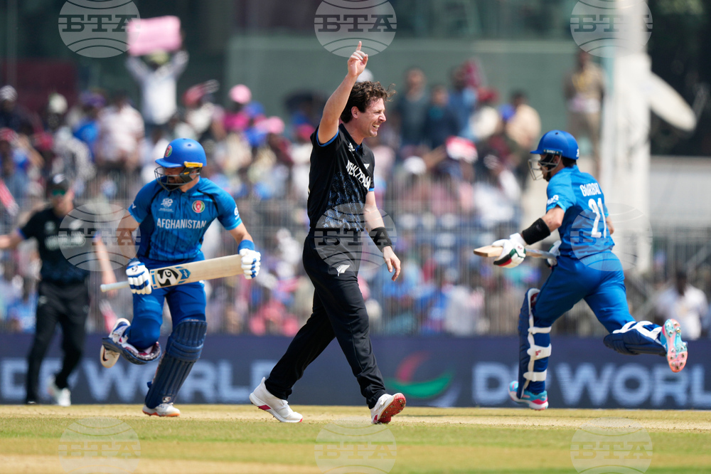 Afghanistan New Zealand T20 WCup Cricket