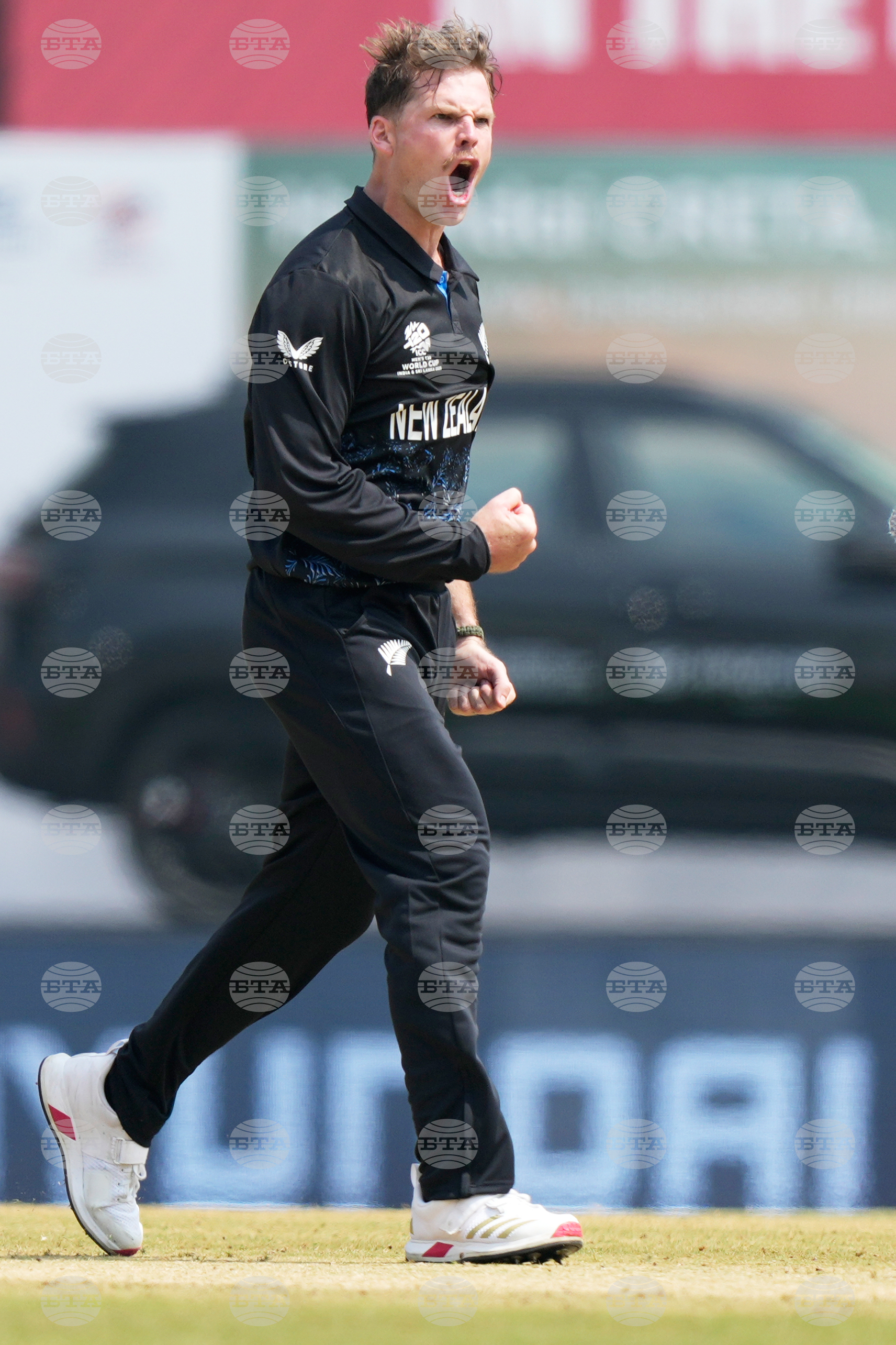 Afghanistan New Zealand T20 WCup Cricket