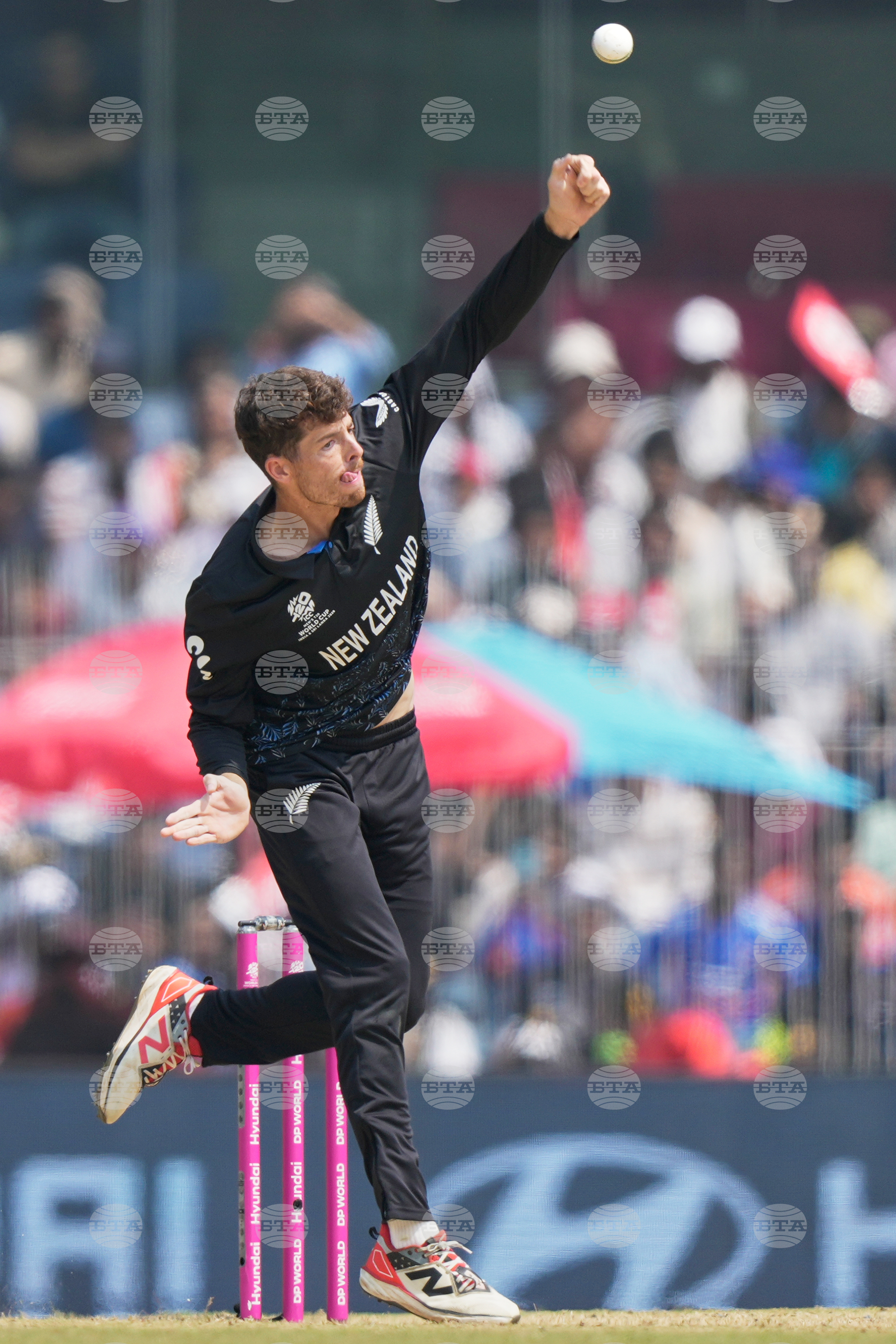 Afghanistan New Zealand T20 WCup Cricket