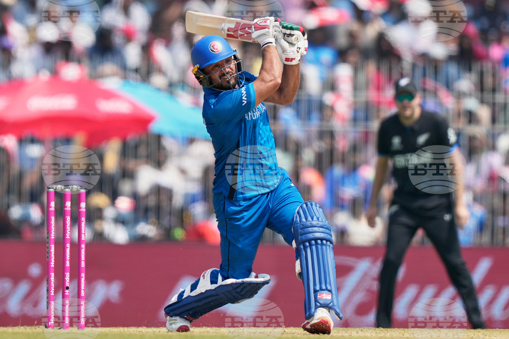 Afghanistan New Zealand T20 WCup Cricket