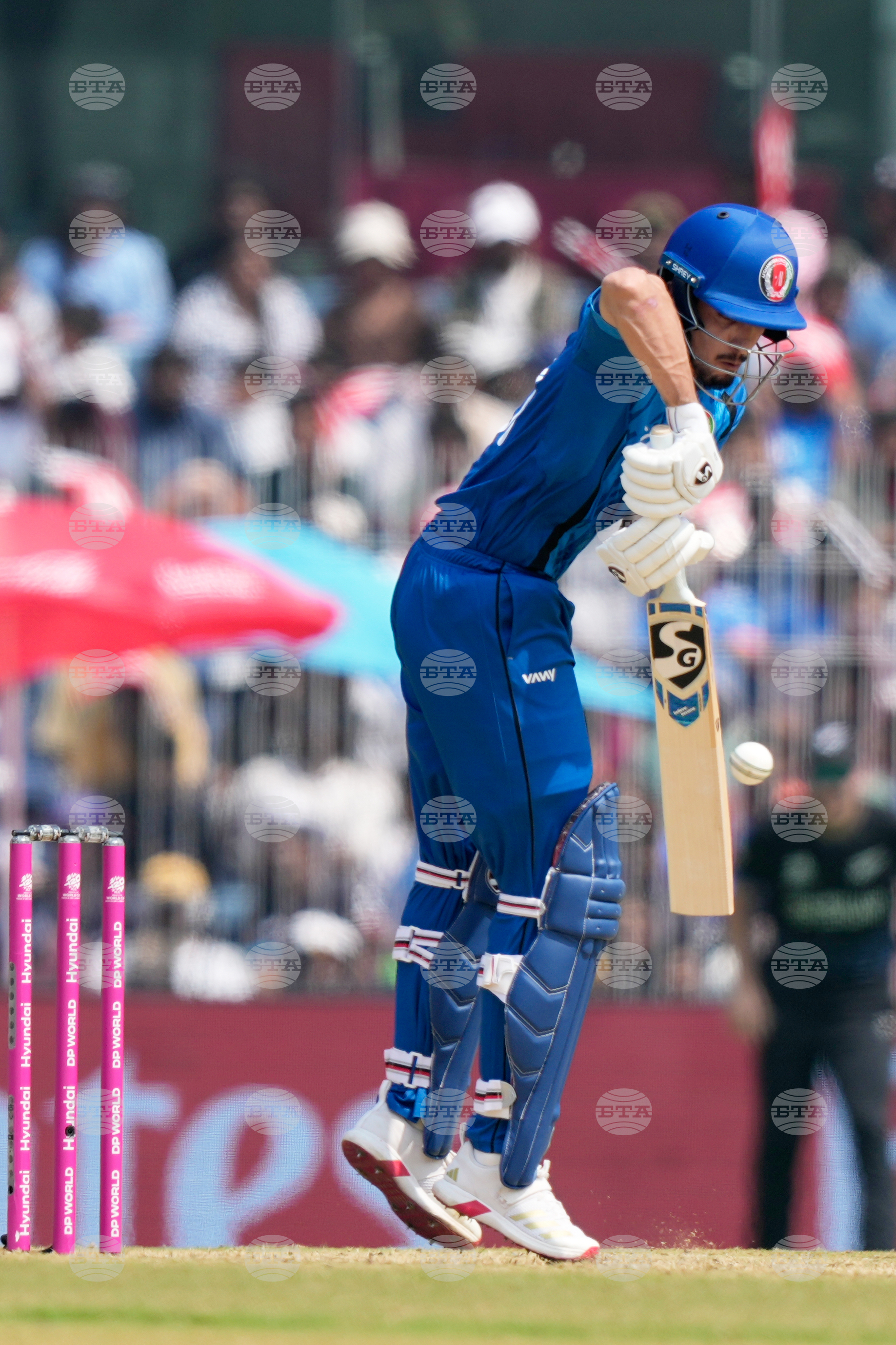 Afghanistan New Zealand T20 WCup Cricket