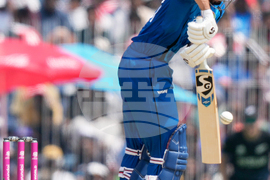 Afghanistan New Zealand T20 WCup Cricket