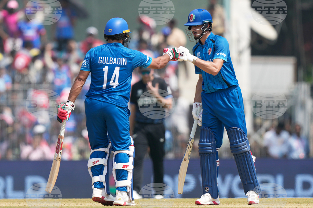 Afghanistan New Zealand T20 WCup Cricket