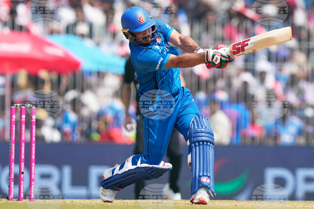 Afghanistan New Zealand T20 WCup Cricket