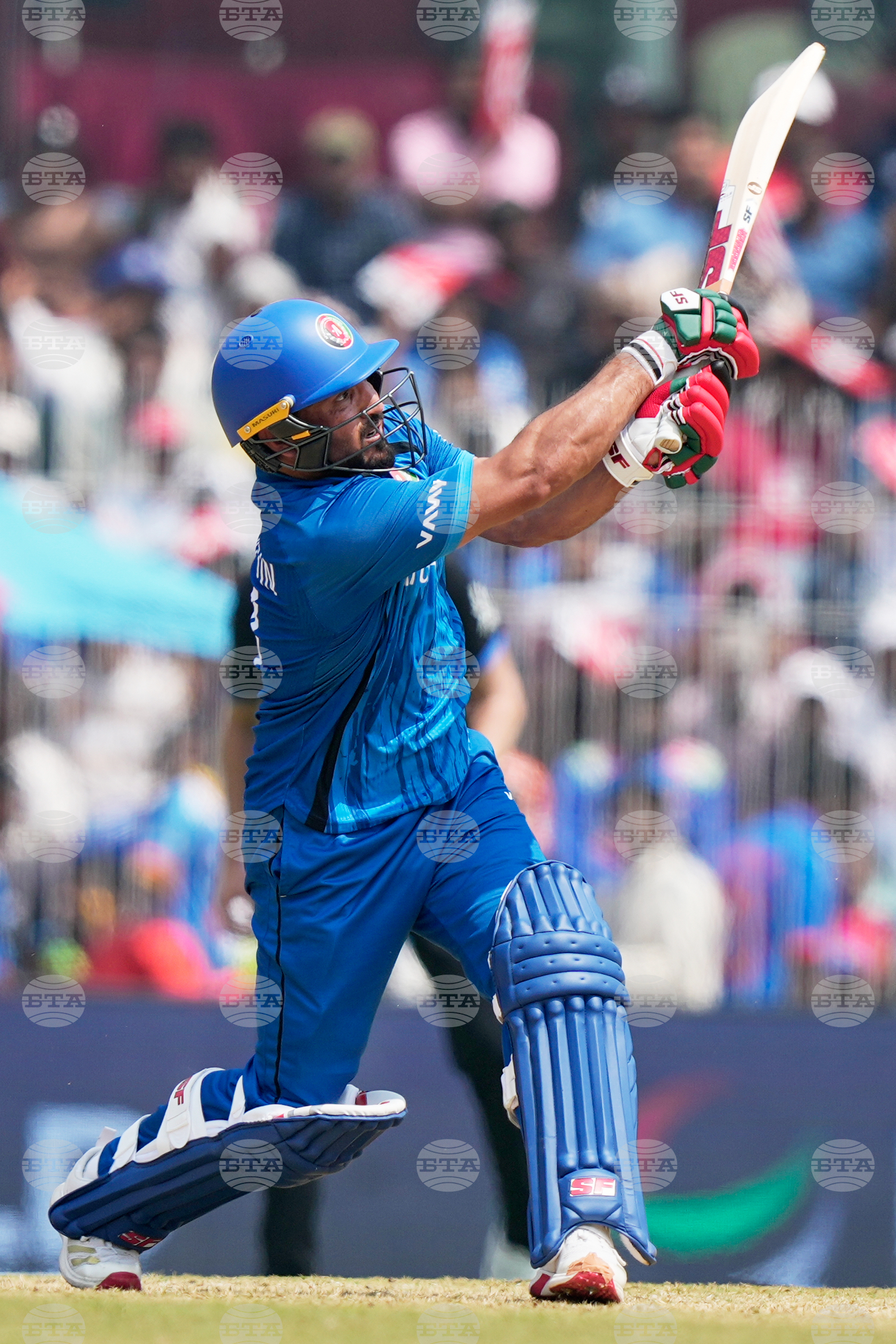 Afghanistan New Zealand T20 WCup Cricket