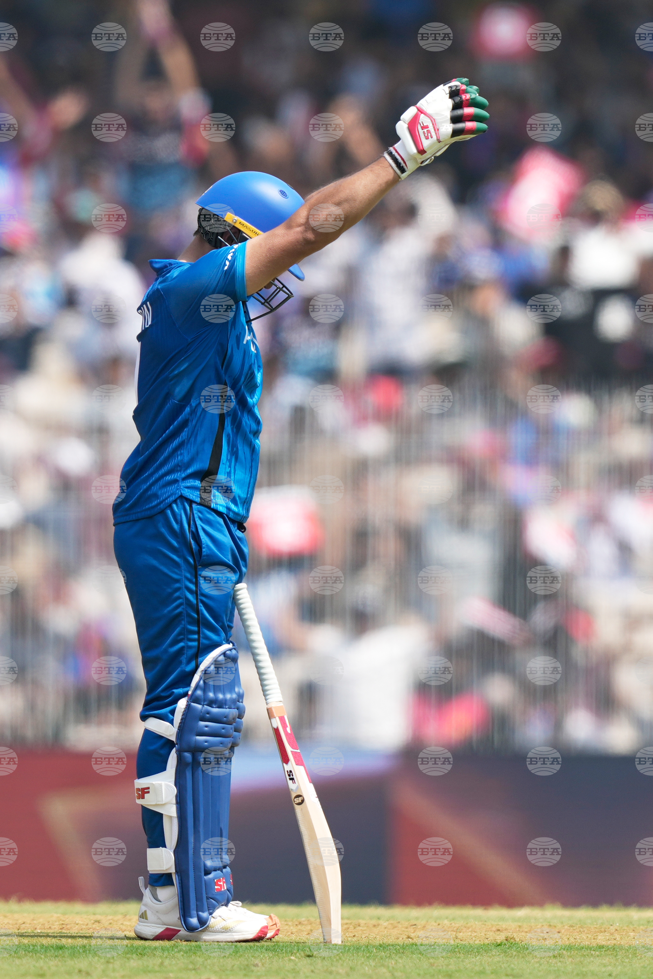 Afghanistan New Zealand T20 WCup Cricket