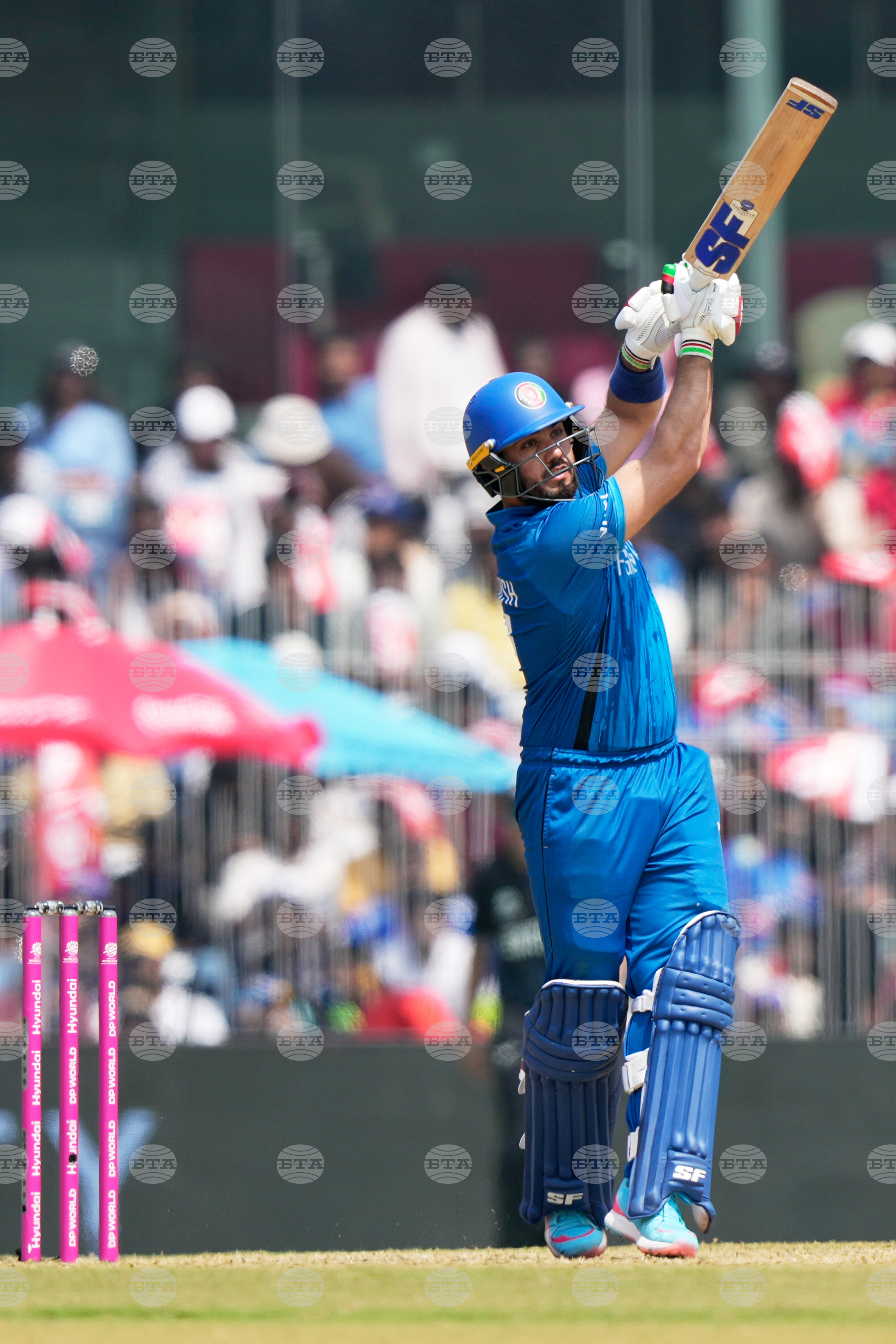 Afghanistan New Zealand T20 WCup Cricket