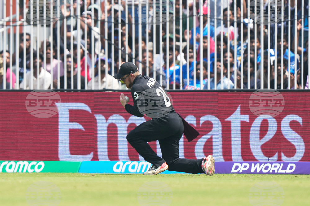 Afghanistan New Zealand T20 WCup Cricket