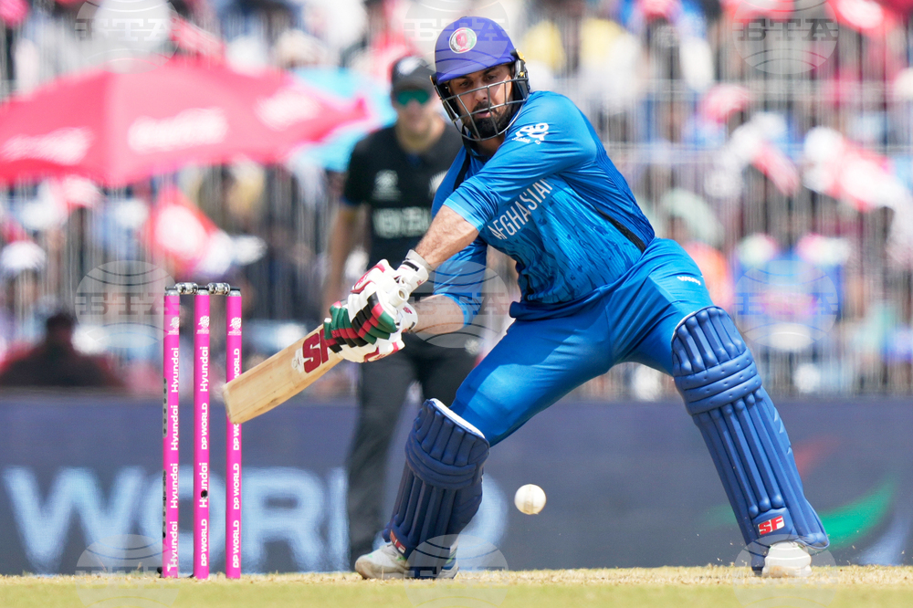 Afghanistan New Zealand T20 WCup Cricket