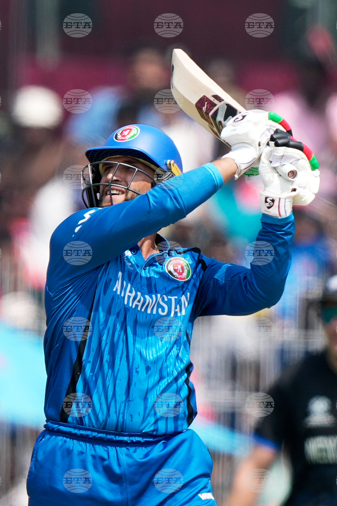 Afghanistan New Zealand T20 WCup Cricket