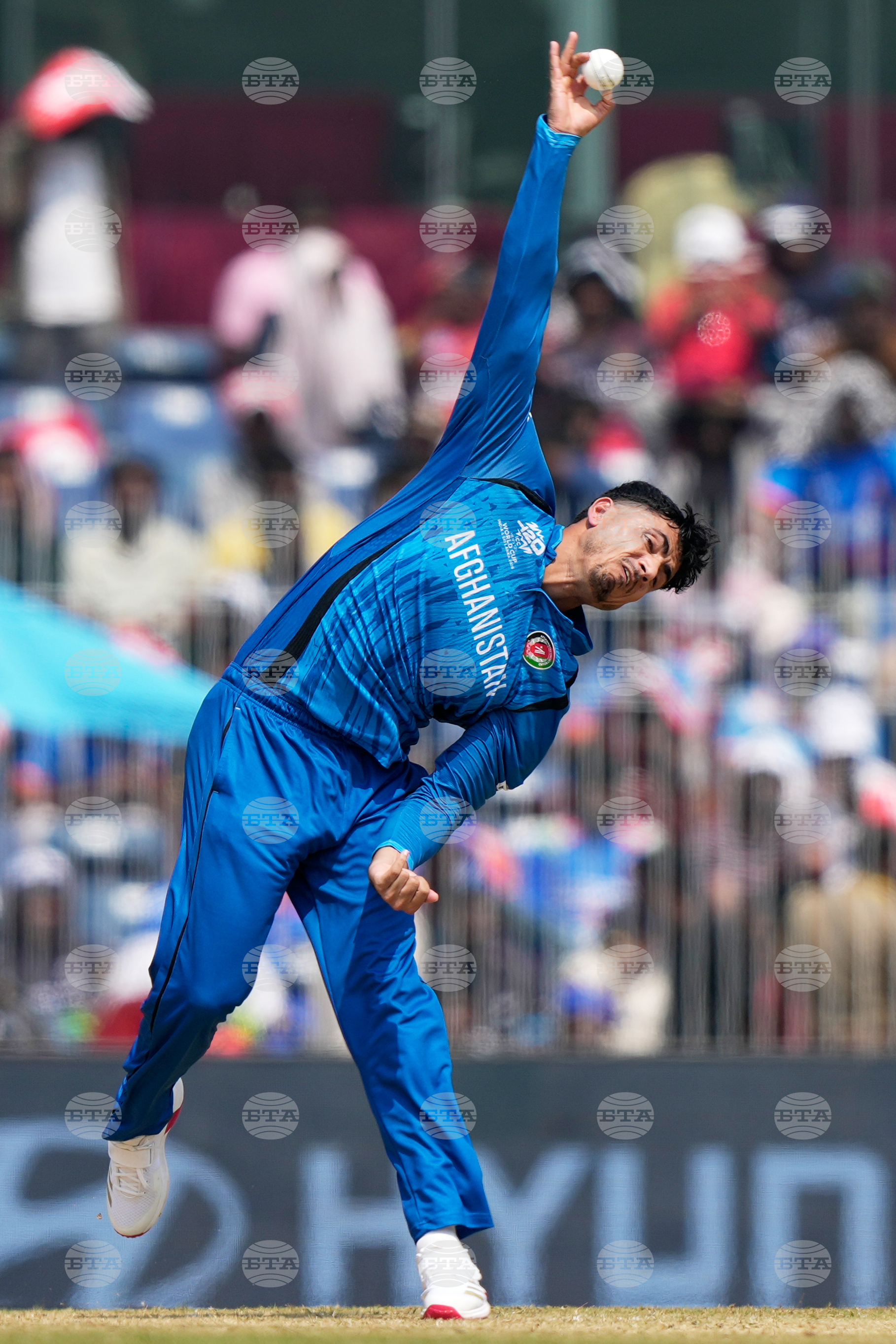 Afghanistan New Zealand T20 WCup Cricket