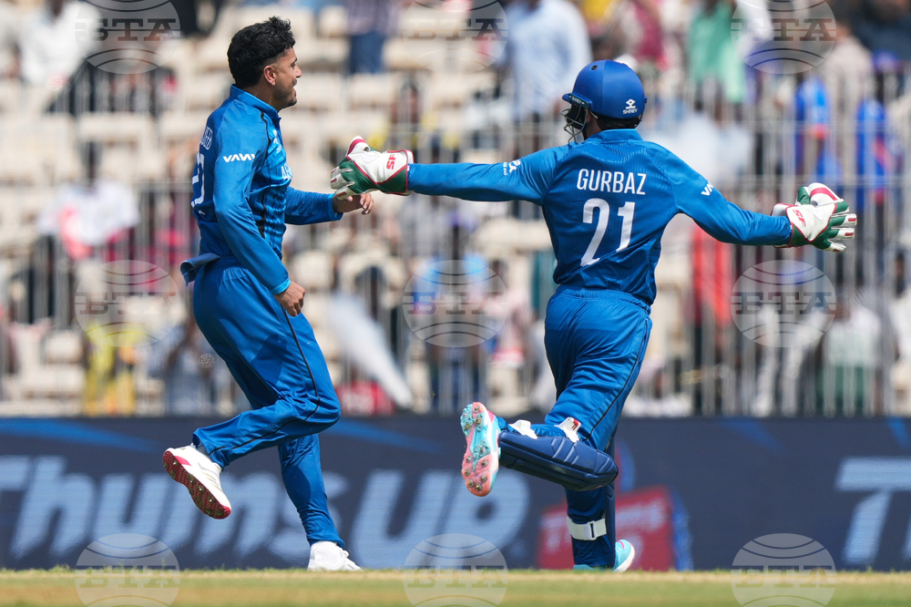 Afghanistan New Zealand T20 WCup Cricket