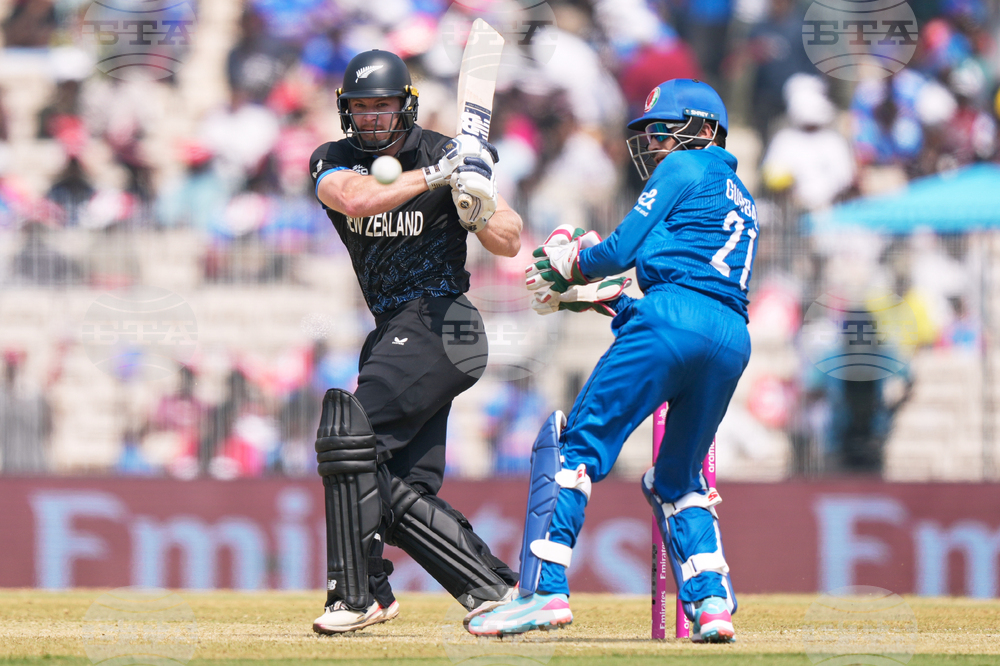 Afghanistan New Zealand T20 WCup Cricket