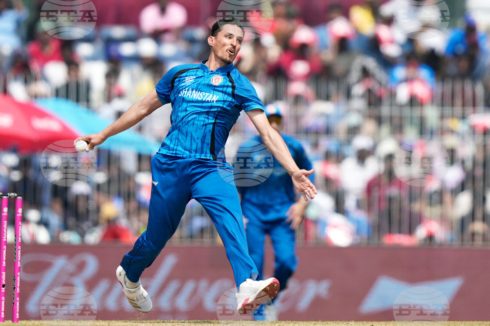 Afghanistan New Zealand T20 WCup Cricket