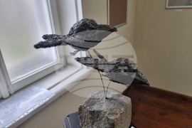 Плевен - изложба - Къща на художниците