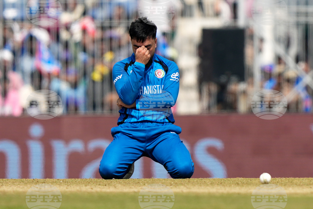 Afghanistan New Zealand T20 WCup Cricket