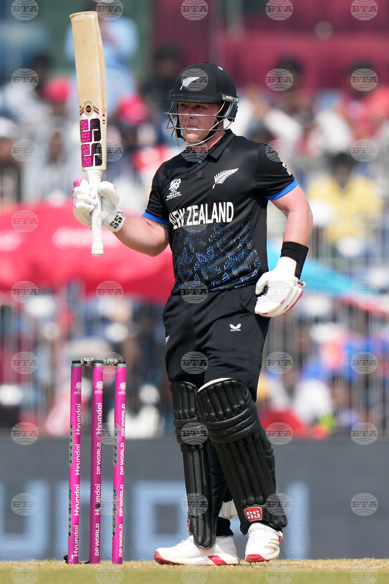 Afghanistan New Zealand T20 WCup Cricket