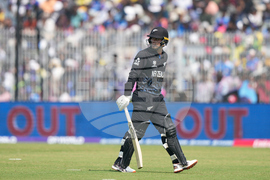 Afghanistan New Zealand T20 WCup Cricket
