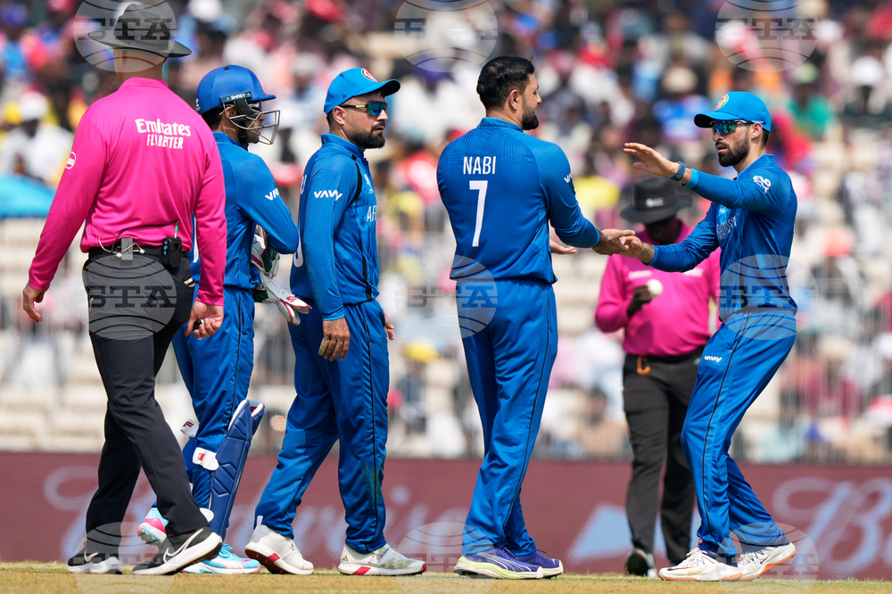 Afghanistan New Zealand T20 WCup Cricket