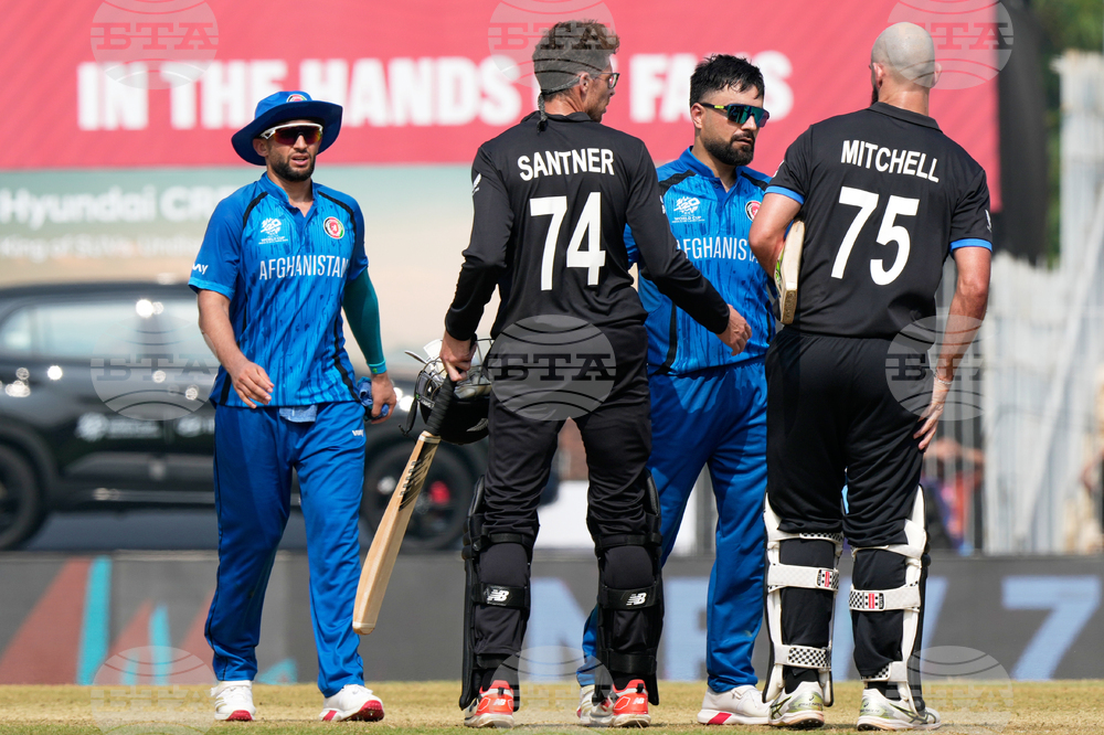 Afghanistan New Zealand T20 WCup Cricket