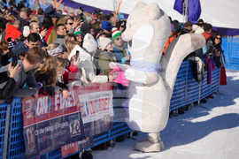 Milan Cortina Olympics Alpine Skiing
