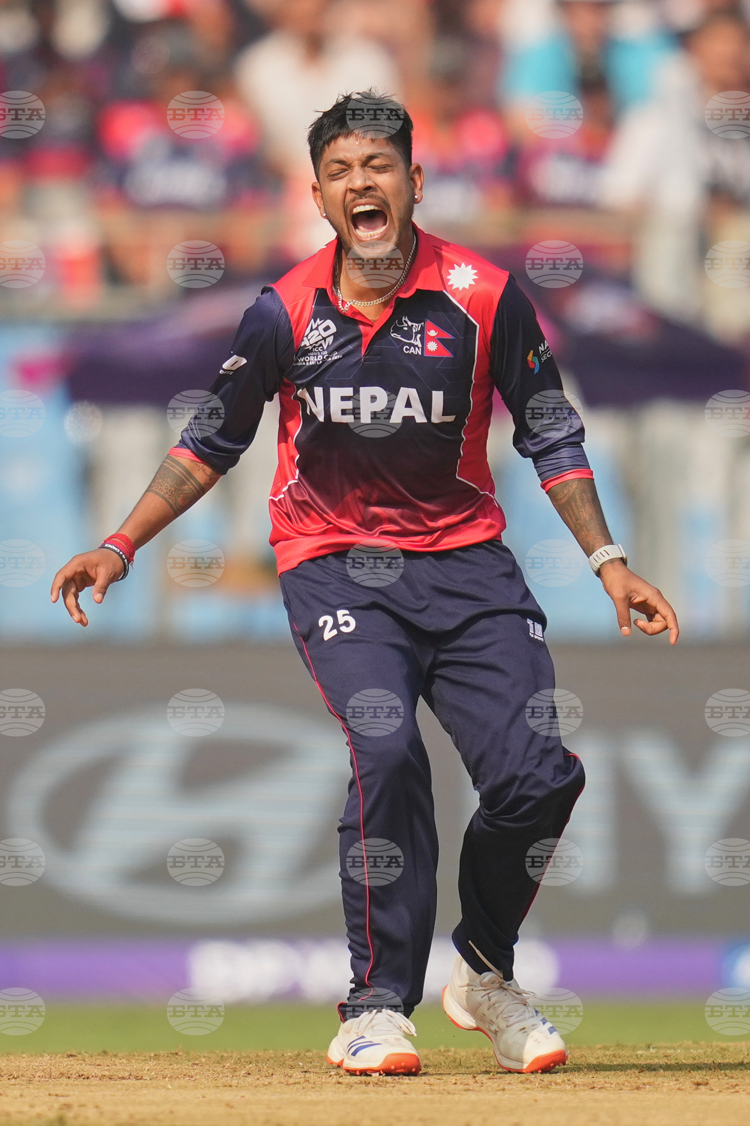 England Nepal T20 WCup Cricket