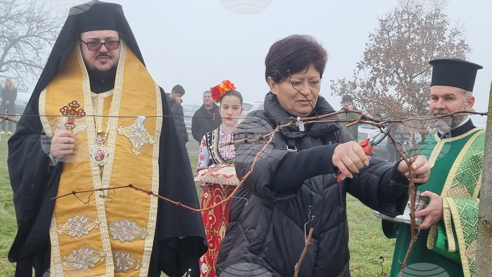 Харманли - Трифон Зарезан - митрополит Киприан