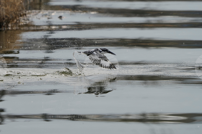 India Kashmir Daily Life