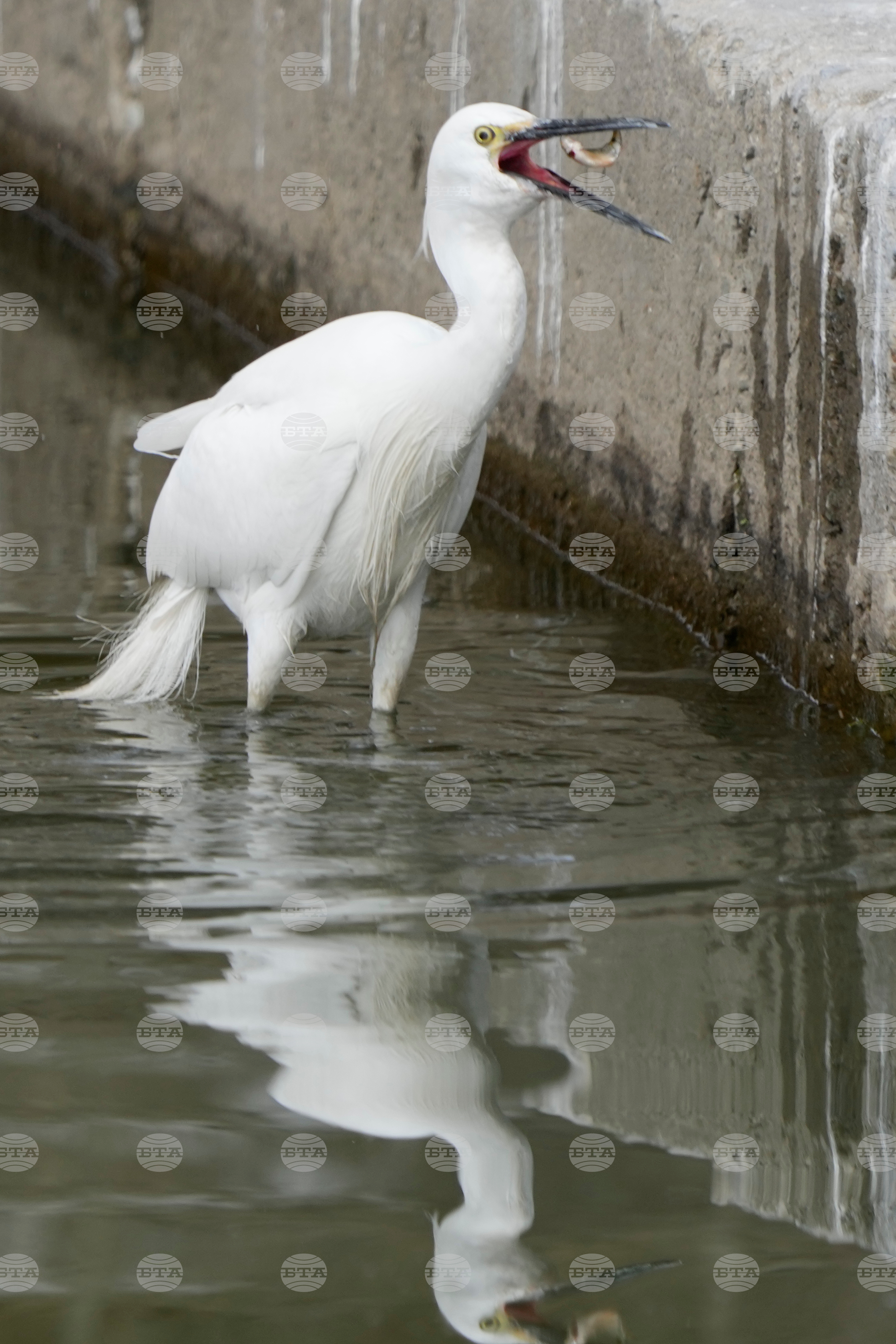 India Kashmir Daily Life