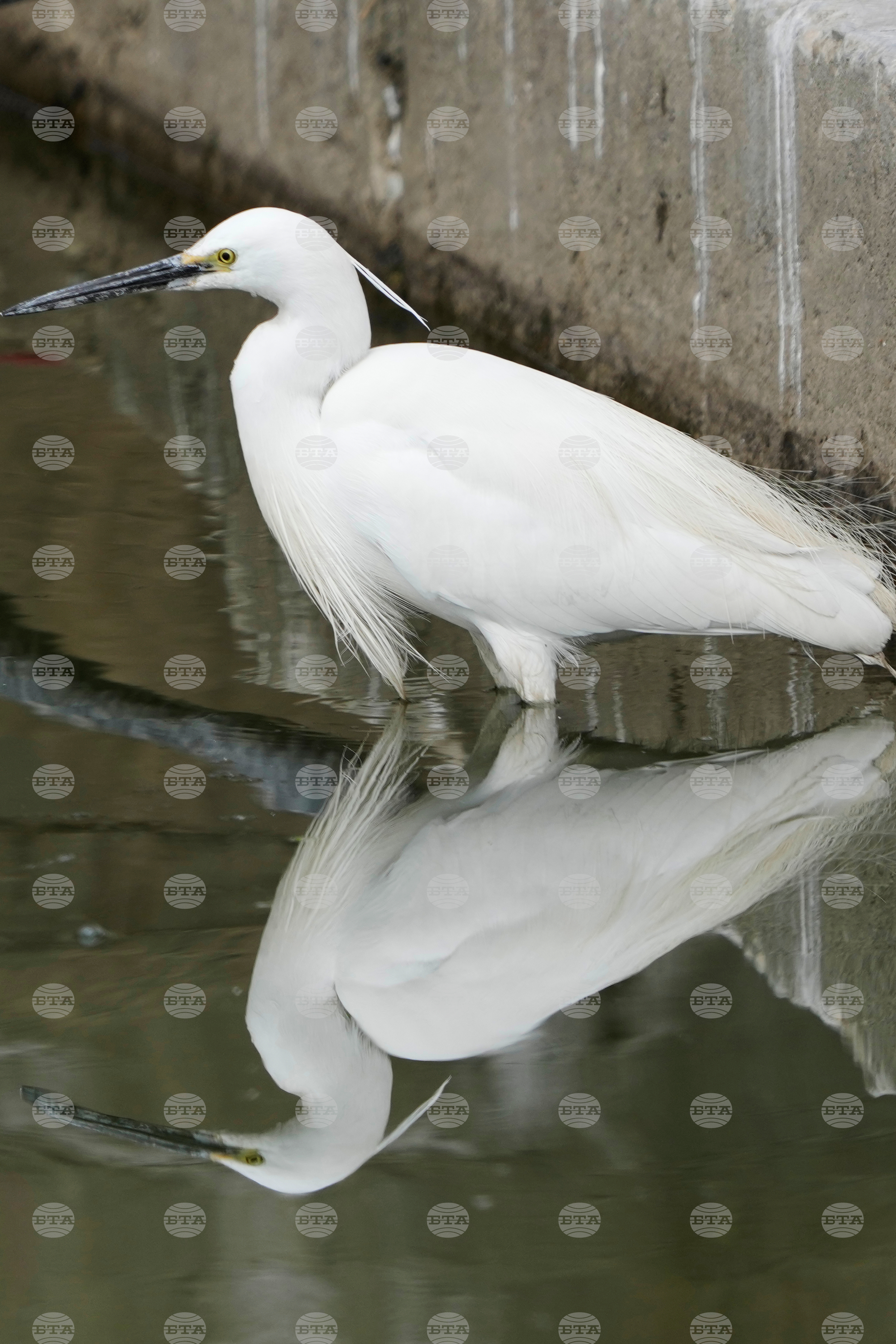 India Kashmir Daily Life