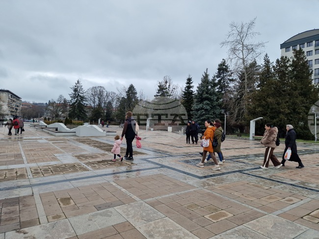 Фармацевти, счетоводители, учител, логопед и агроном са сред търсените квалифицирани специалисти в област Търговище