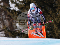 Milan Cortina Olympics Alpine Skiing