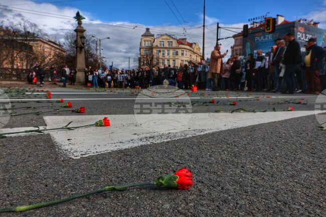 Близки на загинали при катастрофи поставиха 456 карамфила на Орлов мост в София в памет на загубилите живота си при пътни произшествия 