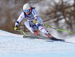 Milan Cortina Olympics Alpine Skiing